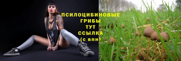 герыч Заволжск