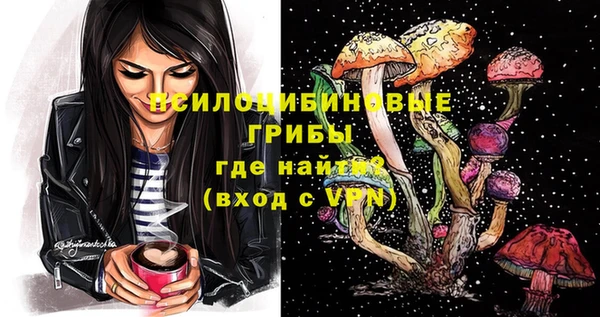 марки nbome Заводоуковск