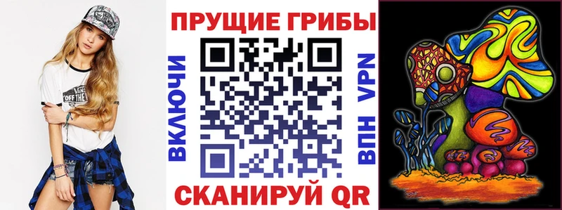 Галлюциногенные грибы GOLDEN TEACHER  Купить закладки  Туапсе 